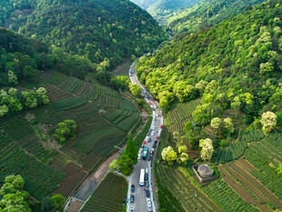 山间公路
