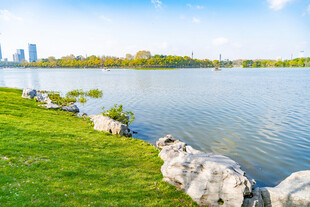 湖畔美景
