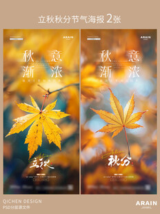 立秋秋分枫叶落叶海报