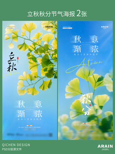 立秋秋分银杏叶蓝天海报