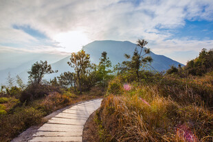 山间步道