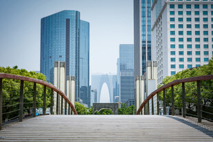 城市桥梁与现代高楼景观