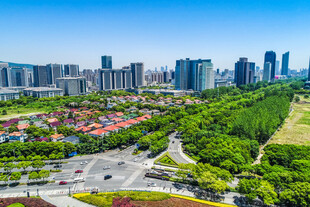 城市绿地与高楼景观