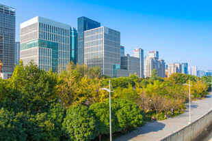 城市绿荫旁的现代高楼景观