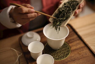 白茶 福鼎 礼盒 白毫银针 寿