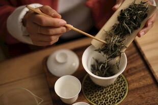 白茶 福鼎 礼盒 白毫银针  