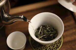 白茶 福鼎 礼盒 白毫银针 