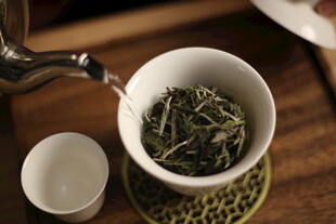 白茶 福鼎 礼盒 白毫银针