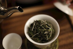 白茶 福鼎  白毫银针 