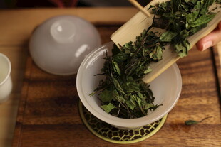 白茶 福鼎 