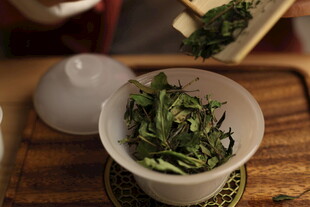 瓷碗中的鲜嫩茶叶