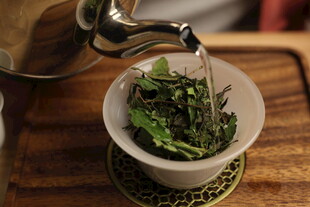 白茶 福鼎 