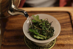 白茶 福鼎 