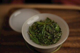 福鼎白茶