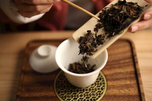 手工投茶瞬间 白茶 福鼎 