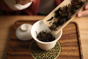福鼎白茶