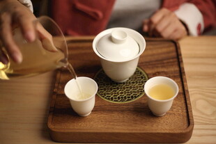 中式茶艺 泡茶瞬间