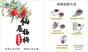 杨梅保养卡