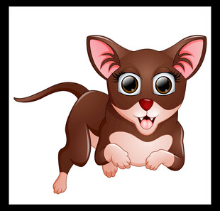 可爱小猫咪动态萌趣瞬间