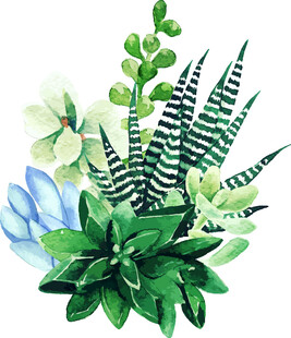 水彩绘绿植花卉组合