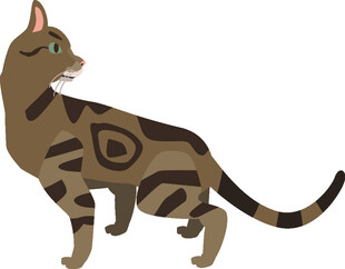 斑纹猫咪插画