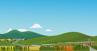 乡村风景插画