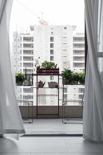透过窗帘看阳台绿植景观