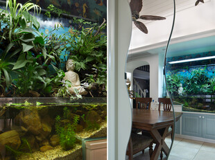 室内水族景观与家居布置
