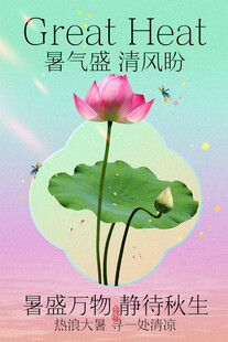 大暑节气荷花清新海报