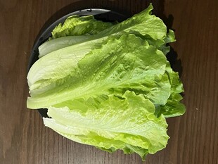 新鲜生菜