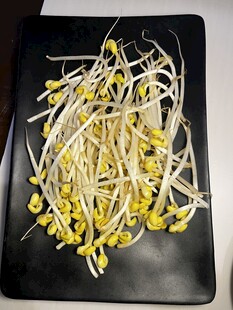 豆芽