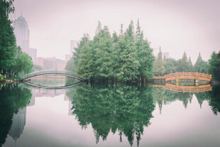 湖畔葱郁林木与倒影美景