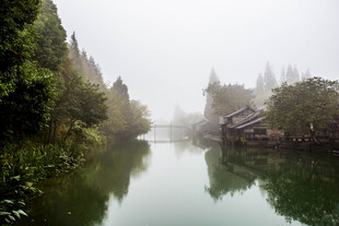 雾中静谧水乡景色
