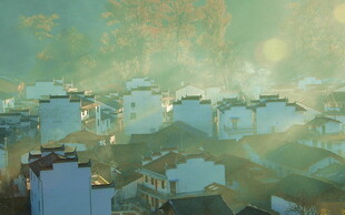 梦幻湿地景观