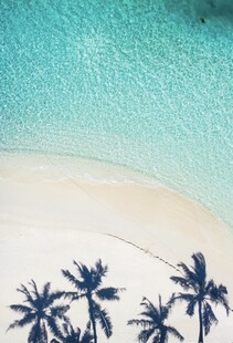 海滩椰影梦幻海滨风光