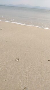 沙滩海景宁静海岸风光