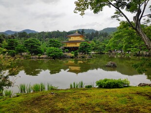 日式园林中的湖畔金顶建筑