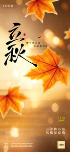 立秋时节 枫叶装点秋意