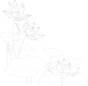 荷花荷叶矢量图