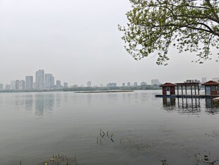 湖畔雾景中的城市