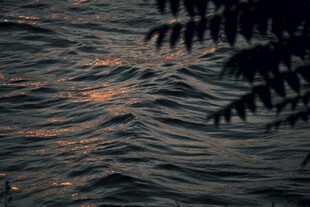 夕阳下波光粼粼的水面