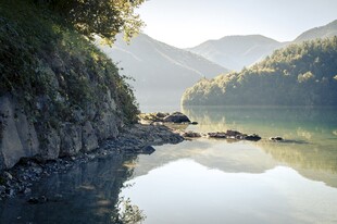 山水相依的静谧湖岸风光