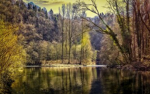 山林湖畔美景