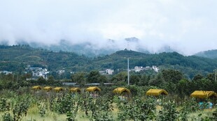 田园风光中的乡村美景