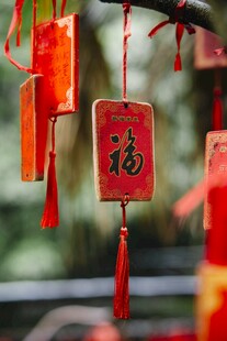 悬挂的福字红灯笼