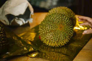 新鲜榴莲摆放在桌面上