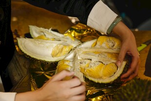 双手捧起金箔装饰的美食