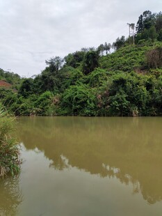山间绿水映葱茏