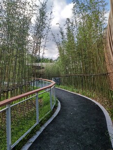 林间蜿蜒步道 自然景致