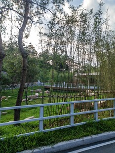 郊外路旁的清新自然景致